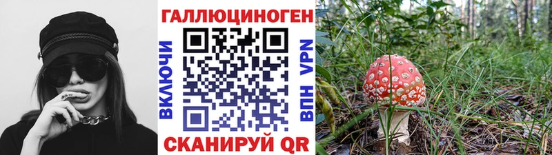 кракен ССЫЛКА  Солнечногорск  Галлюциногенные грибы Magic Shrooms 