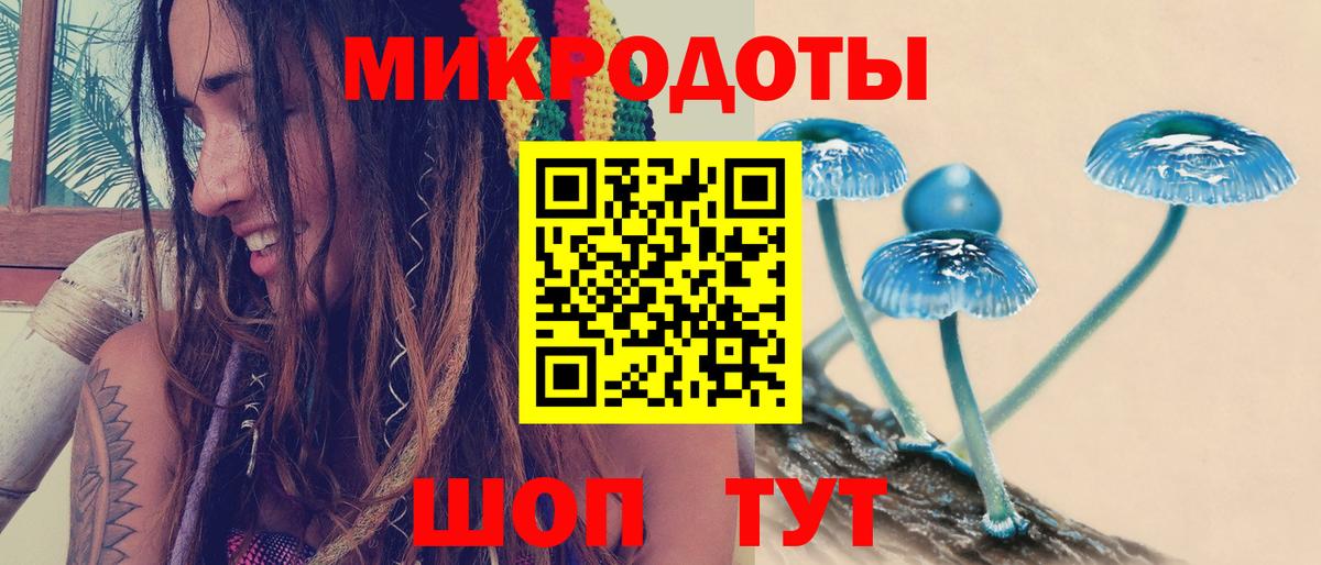 Галлюциногенные грибы GOLDEN TEACHER Солнечногорск